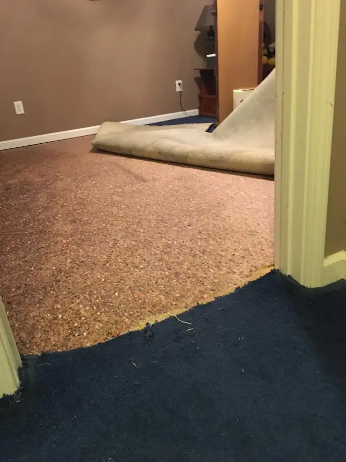 Carpet pad removal revealing water damage during Drying & Dehumidification in Mandeville