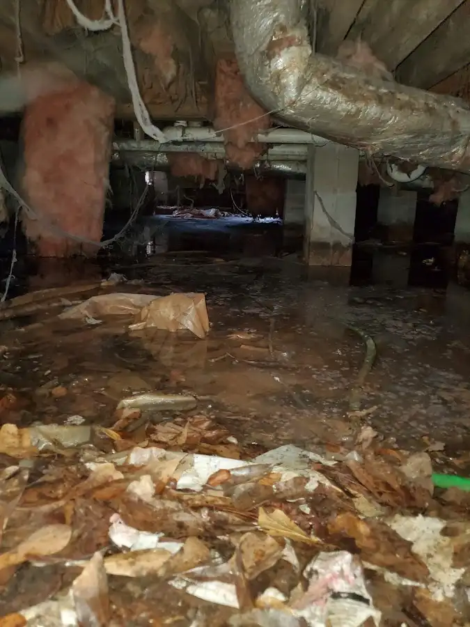 Crawl space flood assessment for Commercial Water Damage Restoration in Mandeville