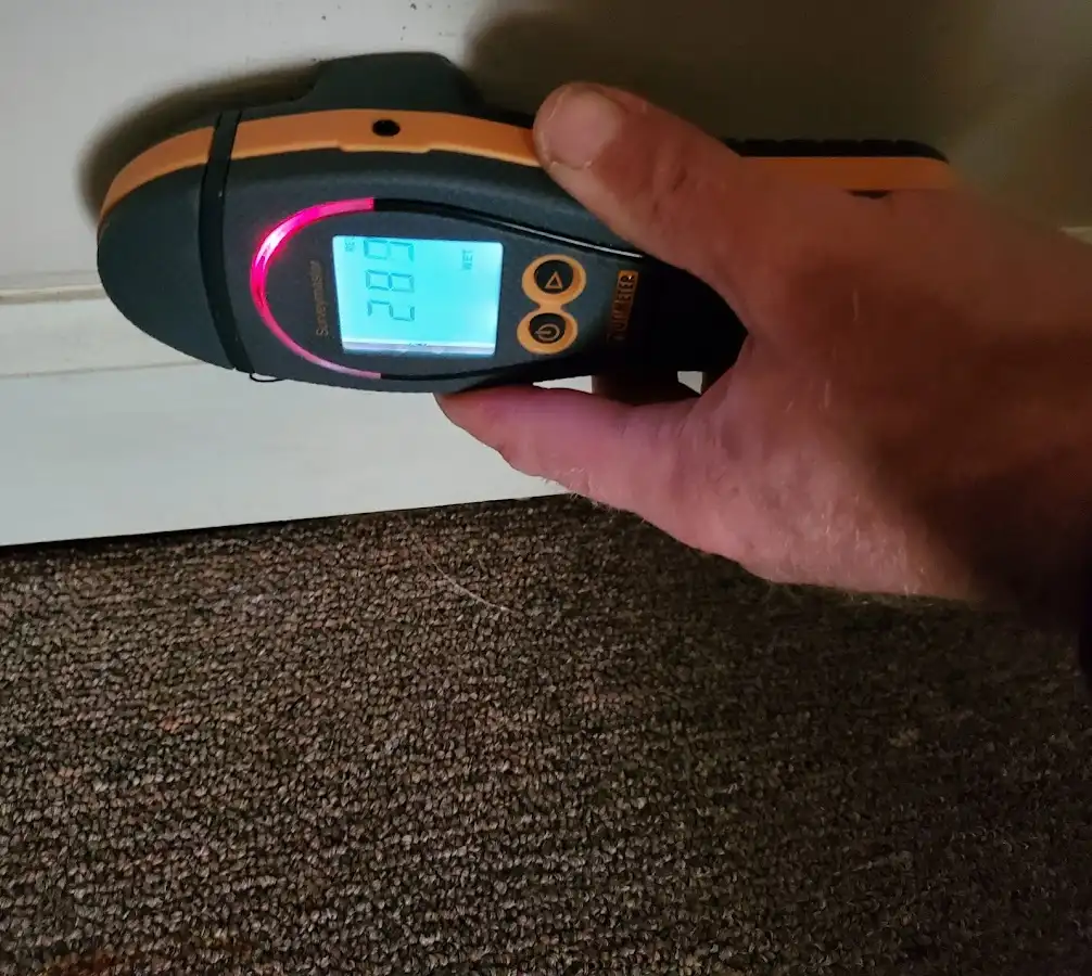 Moisture detection at baseboard during Sewage Cleanup & Sanitation in Mandeville