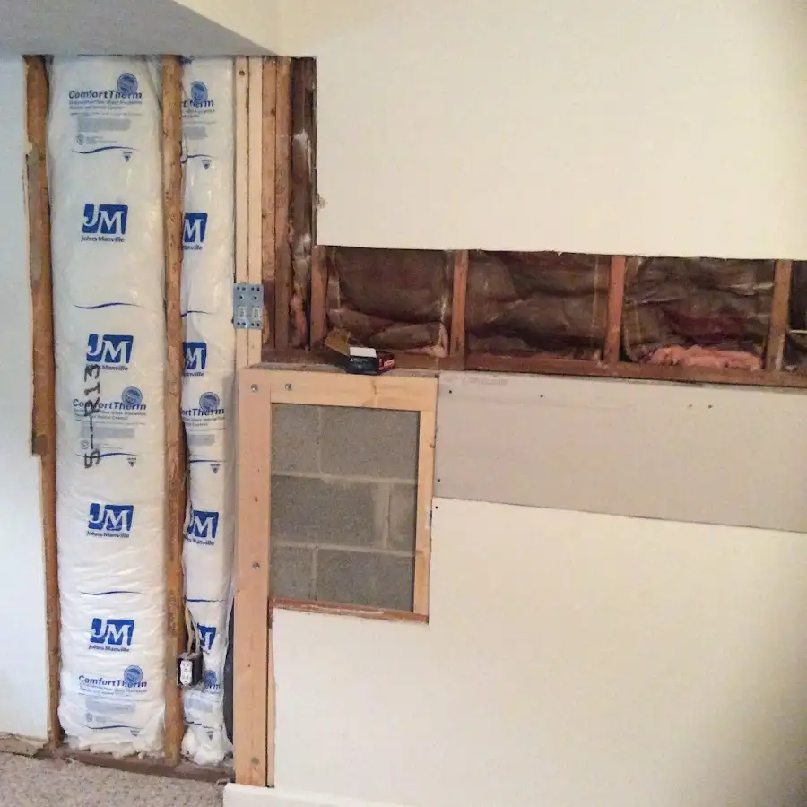 Wall insulation replacement during Odor Removal & Deodorization in Mandeville